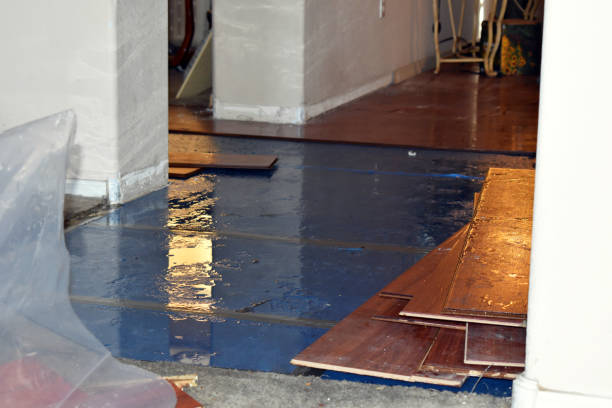 Professional Emergency Water Damage Restoration technician working in White Oak, OH